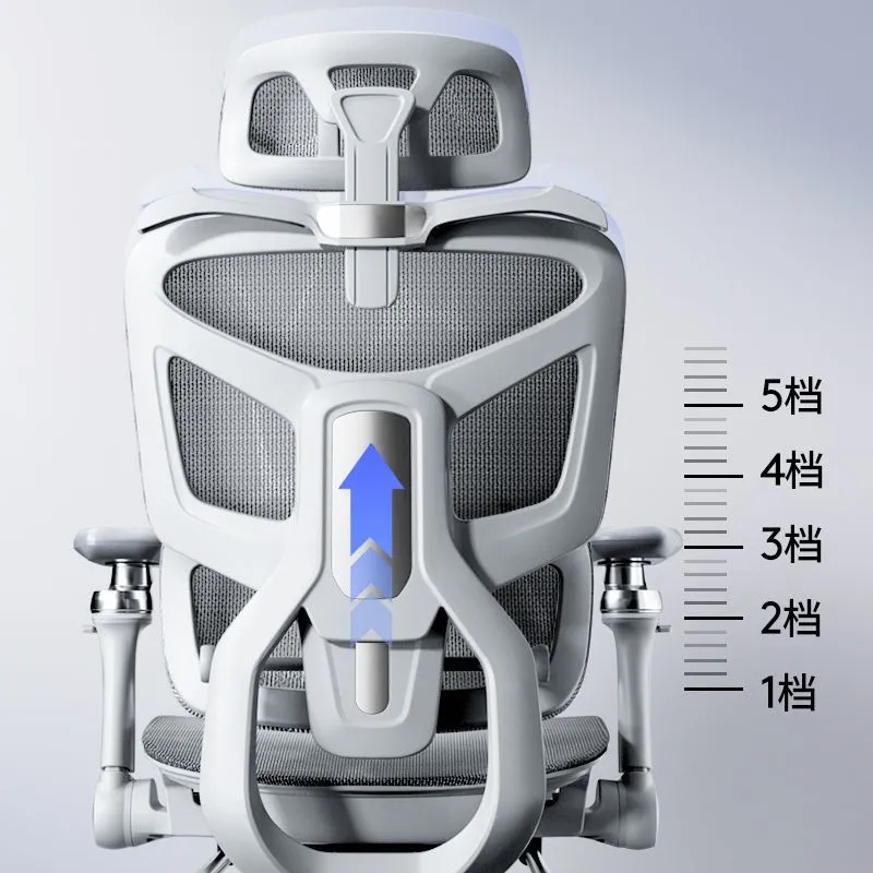 Cadeira Ergonômica para Comput - Home Office Work avaliação e preço